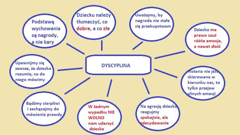 Dyscyplina